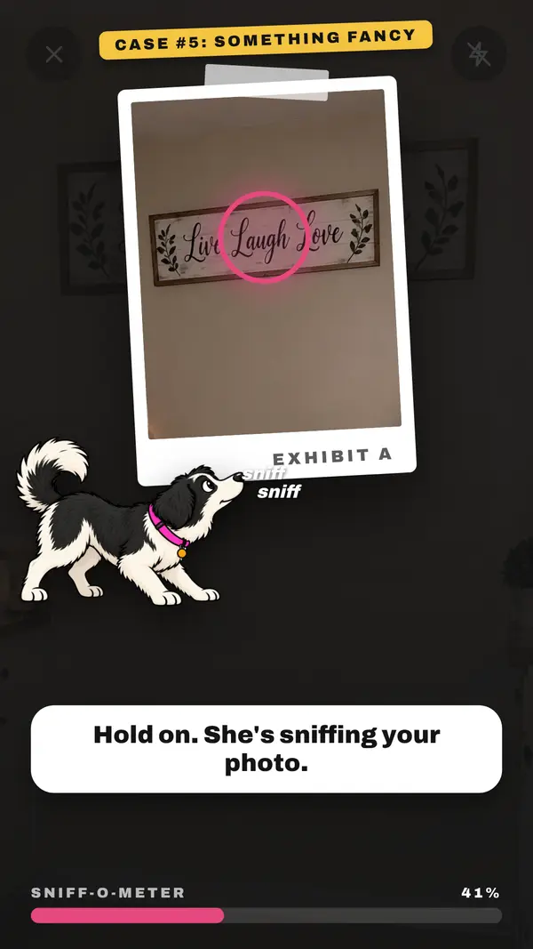 The game: Case number 5, Something fancy. Your photo of a Live Laugh Love sign is pinned up as Exhibit A while Sniffany sniffs it. Hold on. She's sniffing your photo.